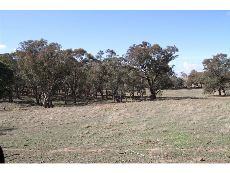 125 Rogerson Lane, Binalong NSW 2584