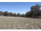 125 Rogerson Lane, Binalong NSW 2584