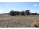 125 Rogerson Lane, Binalong NSW 2584