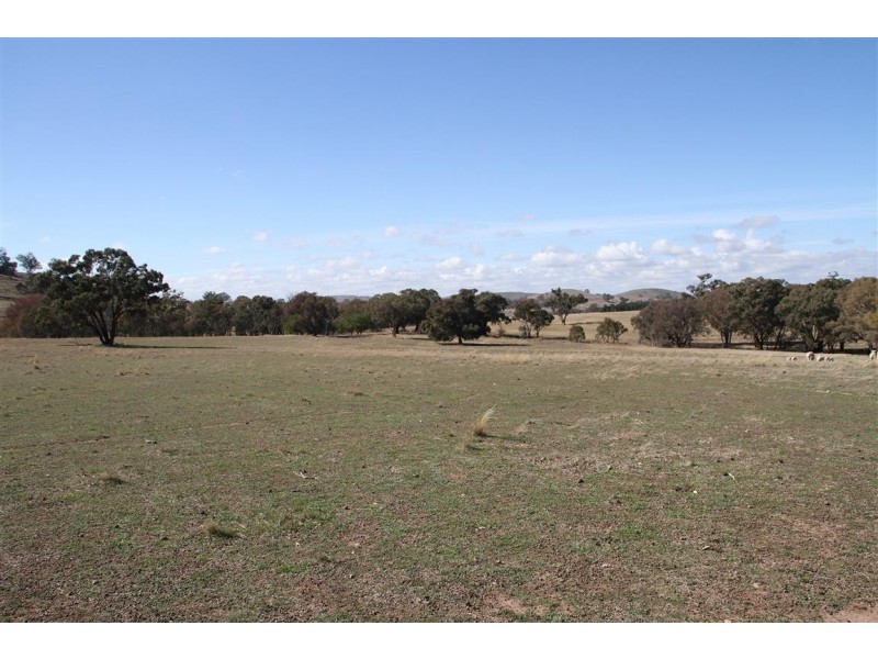 125 Rogerson Lane, Binalong NSW 2584