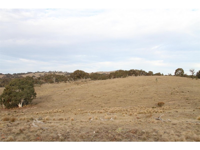 153 Collector Road, Gunning NSW 2581