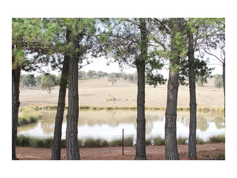 153 Collector Road, Gunning NSW 2581