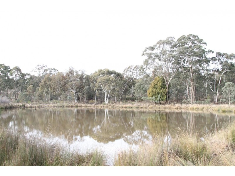 153 Collector Road, Gunning NSW 2581