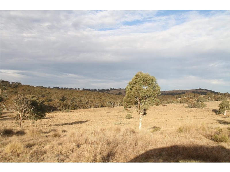 153 Collector Road, Gunning NSW 2581