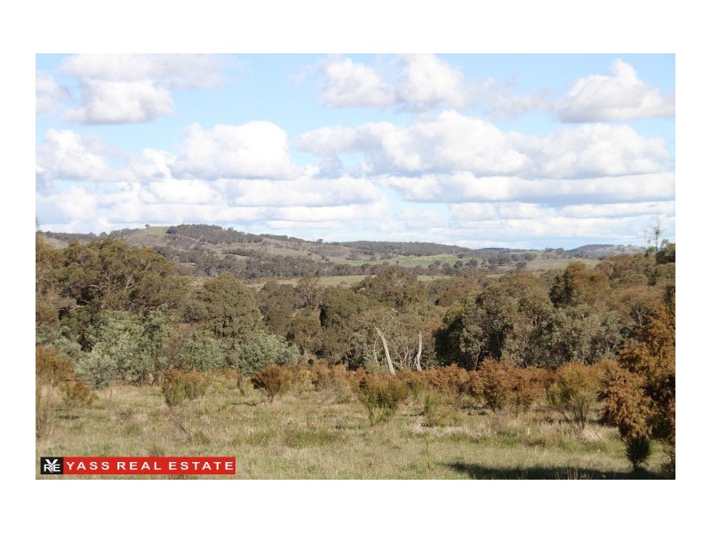 883 Tangmangaroo Road, Kangiara NSW 2582