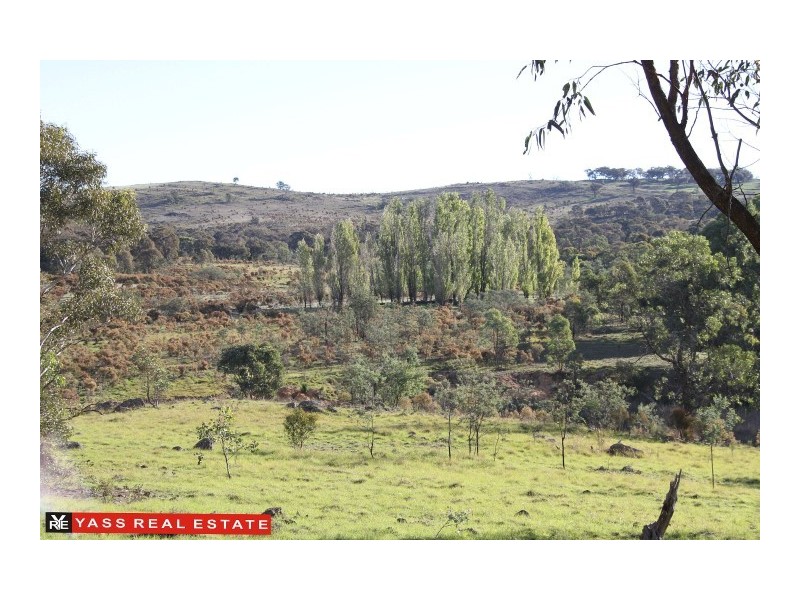 883 Tangmangaroo Road, Kangiara NSW 2582