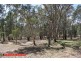 Lot 358 Armours Road, Binalong NSW 2584