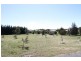 14 Charolais Place, Murrumbateman NSW 2582
