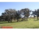 768 Wargeila Road, Yass NSW 2582