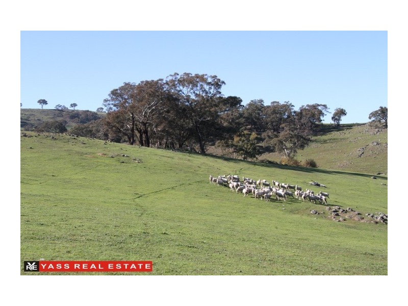 768 Wargeila Road, Yass NSW 2582