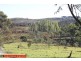 883 Tangmangaroo Road, Kangiara NSW 2582