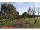 331 Black Range Road, Yass NSW 2582