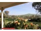 331 Black Range Road, Yass NSW 2582
