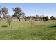 450 Yass Valley Way, Yass NSW 2582