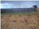 26 Nicholls Drive, Yass NSW 2582