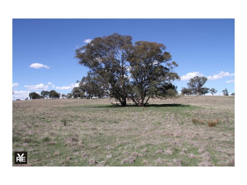 163 Glengarry, Binalong NSW 2584