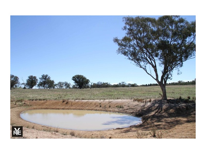 163 Glengarry, Binalong NSW 2584