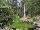 475 Yango Creek Road, Wollombi NSW 2325