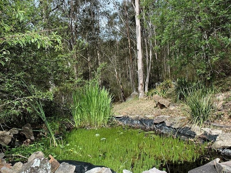475 Yango Creek Road, Wollombi NSW 2325