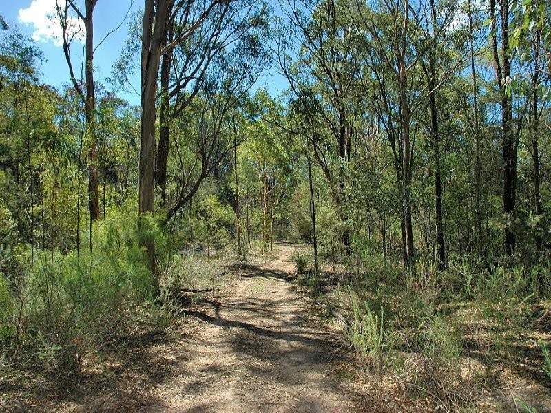 343 Budd Road, Cedar Creek NSW 2325