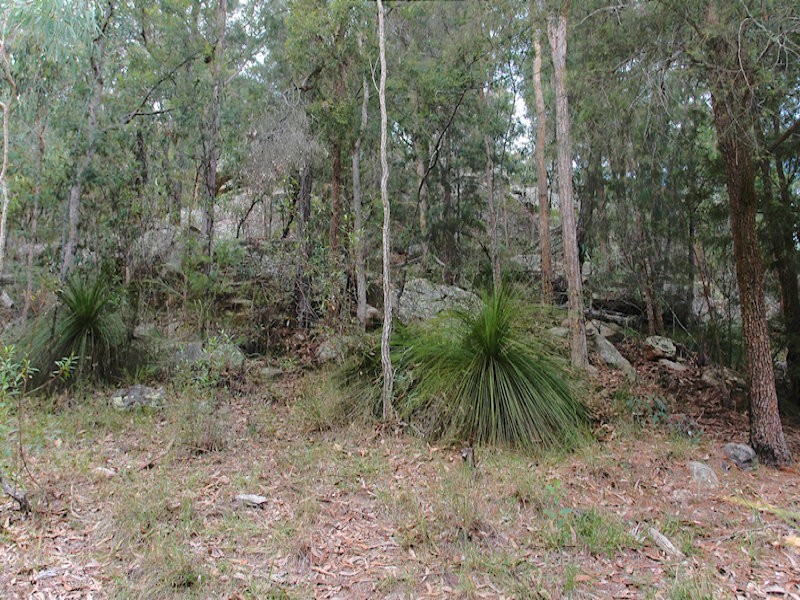 Laguna NSW 2325