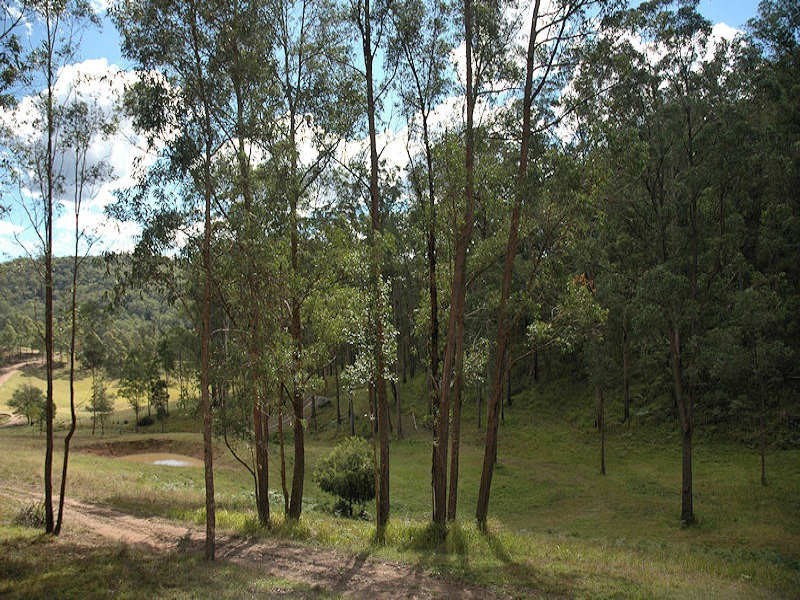 3 Cagney Road, Laguna NSW 2325