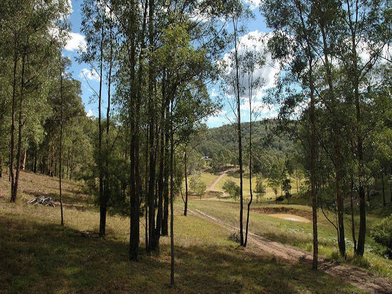 3 Cagney Road, Laguna NSW 2325