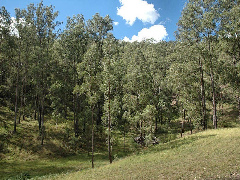 3 Cagney Road, Laguna NSW 2325