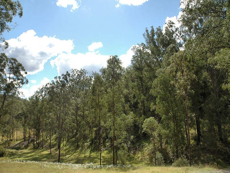 3 Cagney Road, Laguna NSW 2325