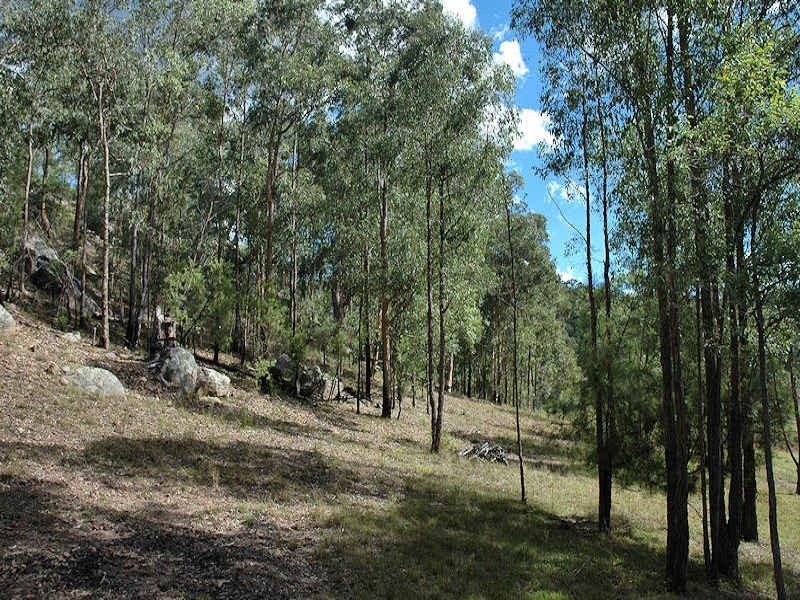 3 Cagney Road, Laguna NSW 2325