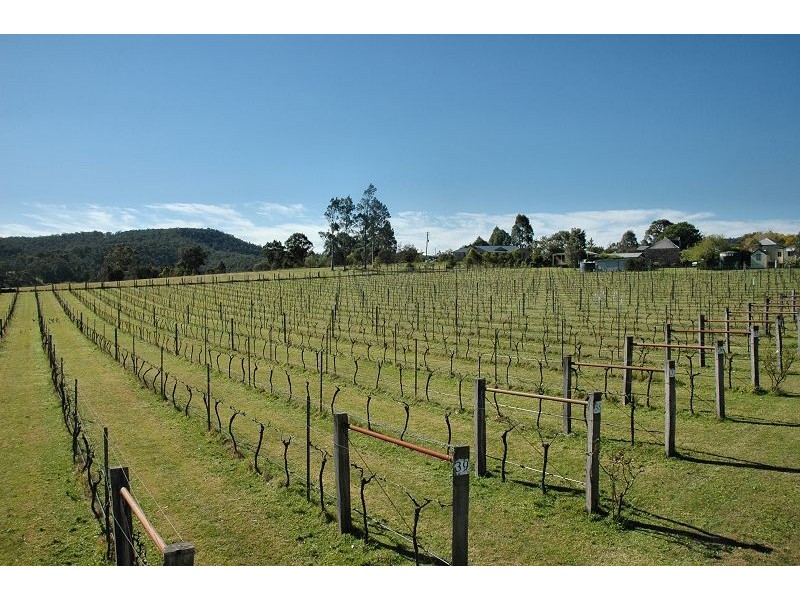 1617 Mount View Road, Millfield NSW 2325