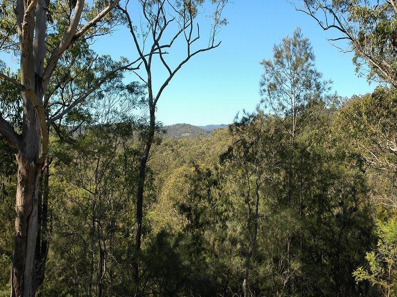 835 Watagan Creek Road, Laguna NSW 2325