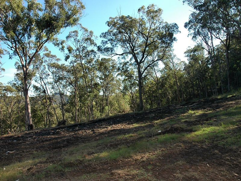 835 Watagan Creek Road, Laguna NSW 2325