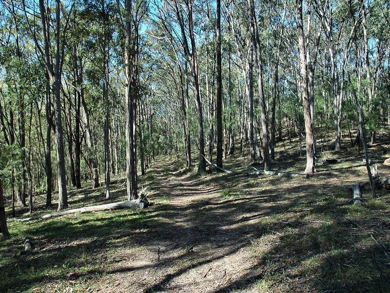 835 Watagan Creek Road, Laguna NSW 2325