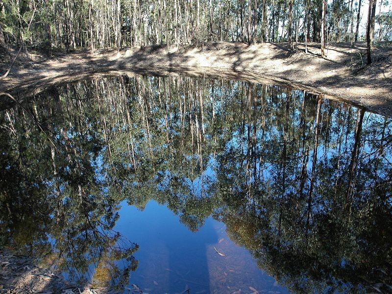 835 Watagan Creek Road, Laguna NSW 2325