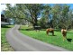 Wollombi NSW 2325