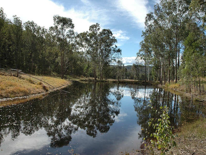 Lot 254 Yango Creek Road, Wollombi NSW 2325