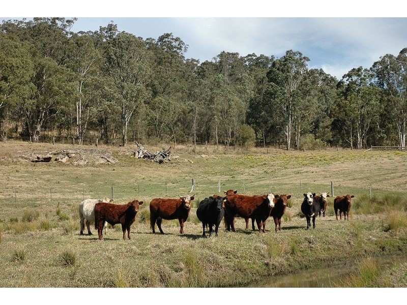 Lot 254 Yango Creek Road, Wollombi NSW 2325