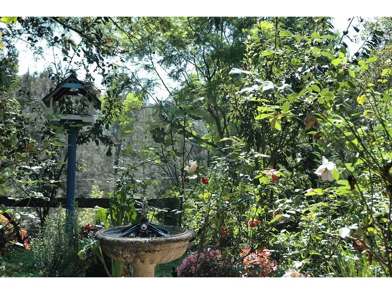 2875 Wollombi Road, Wollombi NSW 2325