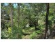 2875 Wollombi Road, Wollombi NSW 2325
