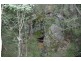 Paynes Crossing NSW 2325