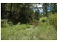 Paynes Crossing NSW 2325
