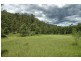 Paynes Crossing NSW 2325