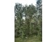 Paynes Crossing NSW 2325