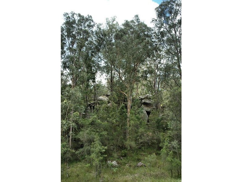 Paynes Crossing NSW 2325