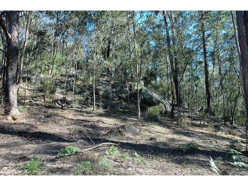 259 Boree Track, Laguna NSW 2325