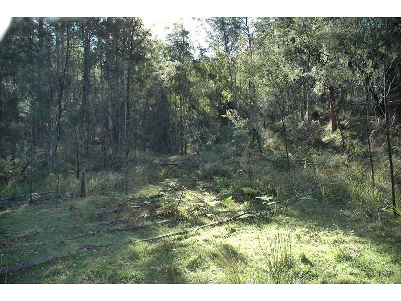 259 Boree Track, Laguna NSW 2325