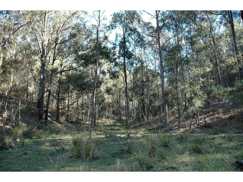 259 Boree Track, Laguna NSW 2325