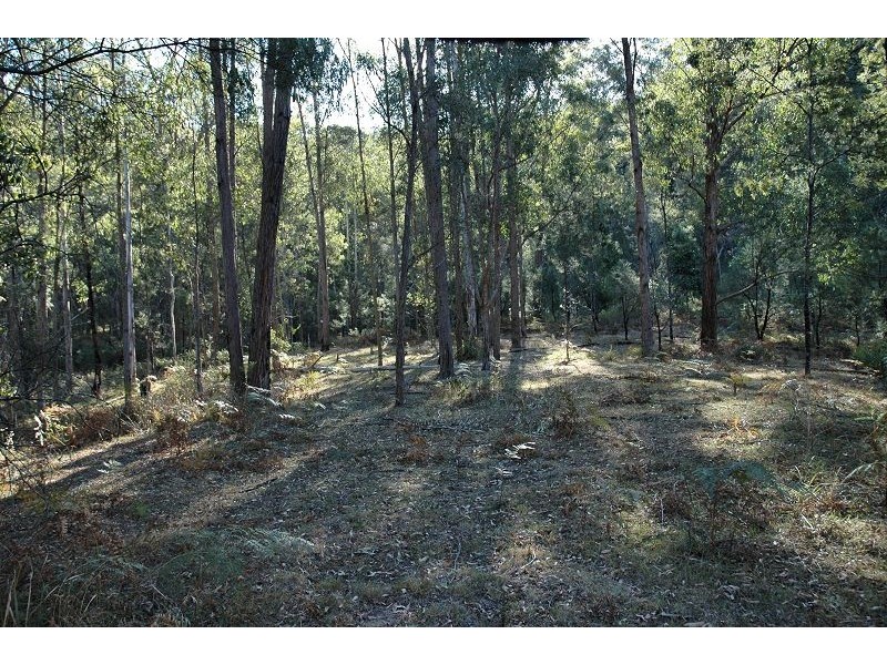 259 Boree Track, Laguna NSW 2325