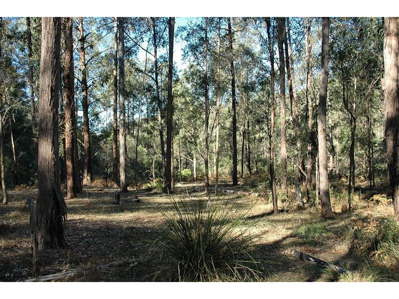 259 Boree Track, Laguna NSW 2325